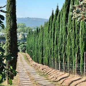 Camugnano Farm Rapolano Terme
